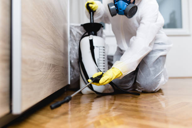 Best Best Pest Control Near Me  in Sanford, ME