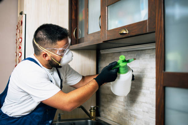 Best Pest Control Near Me  in Sanford, ME