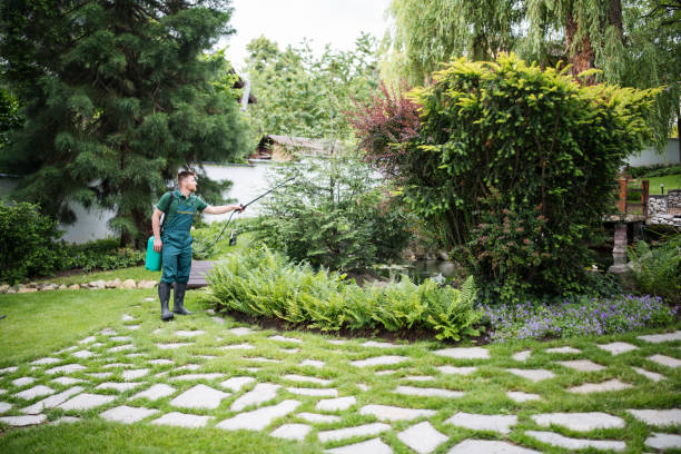 Best Wasp Removal Services  in Sanford, ME