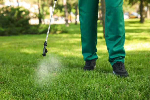 Best Pest Control Near Me  in Sanford, ME