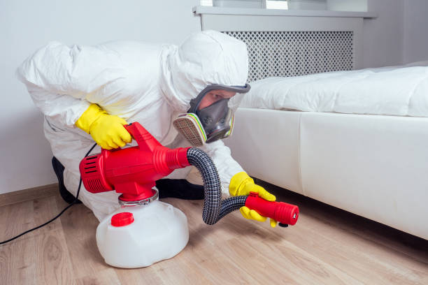 Best Affordable Pest Control Services  in Sanford, ME