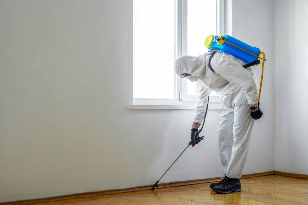 Pest Control Cost in Sanford, ME
