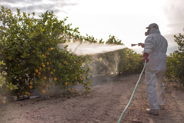 Best Pest Control Cost  in Sanford, ME