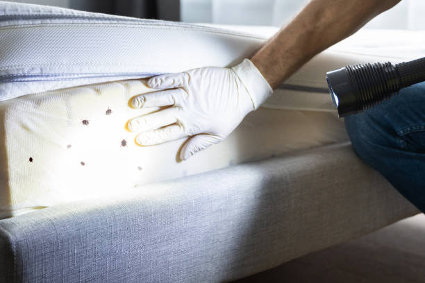 Best Residential Pest Control  in Sanford, ME