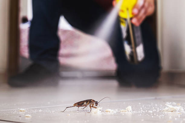 Pest Prevention Services in Sanford, ME