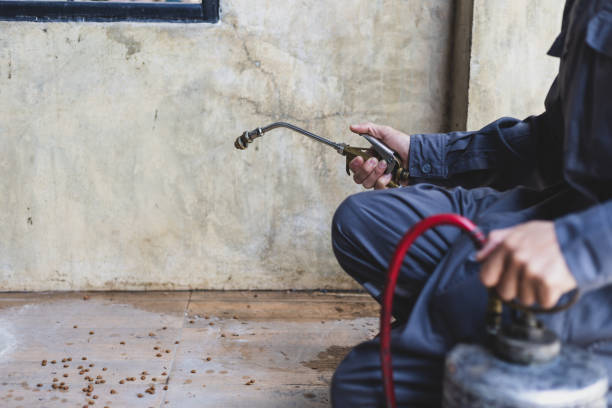 Best Best Pest Control Companies  in Sanford, ME